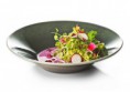 /album/gastrobotanika-v-vysokoj-kukhne-ot-rodrigo-de-la-kaje-/aguachile-con-pamplinas-escarola-y-granadas-jpg/